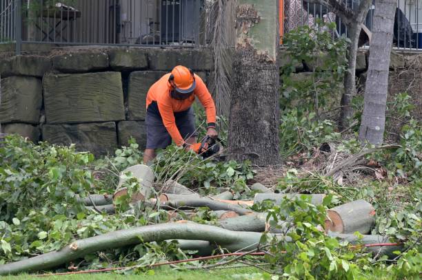 Best Tree Risk Assessment  in Okauchee Lake, WI